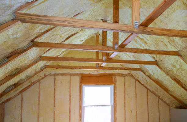 Best Insulation Inspection Services  in De Leon, TX