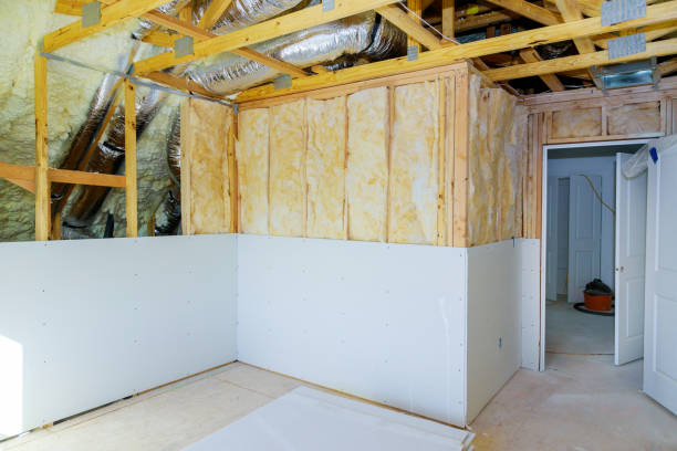 Best Spray Foam Insulation  in De Leon, TX