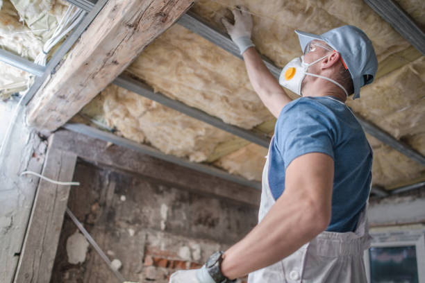 Best Spray Foam Insulation  in De Leon, TX
