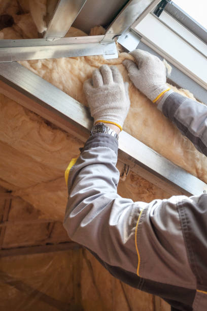 Best Energy-efficient Insulation  in De Leon, TX