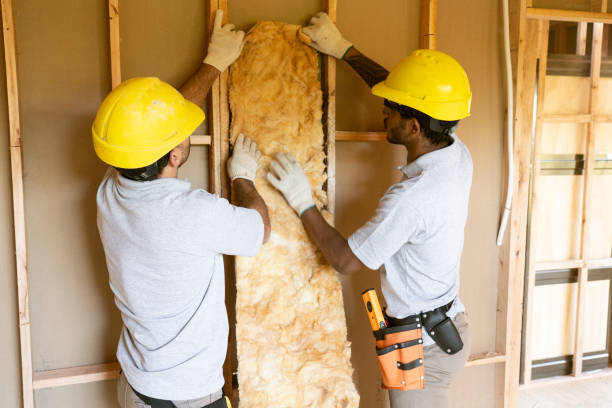 Best Insulation Contractors for Homes  in De Leon, TX