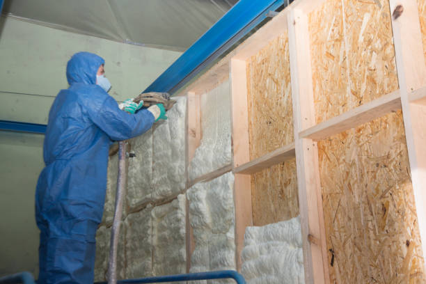 Best Local Insulation Services  in De Leon, TX