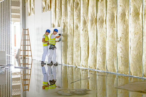 Best Insulation Repair Services  in De Leon, TX